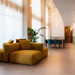 Phi Cavalieri